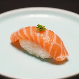 a single piece of salmon nigiri plated with garnish