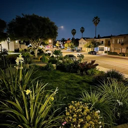losangeles neighborhood at night, big garden, street