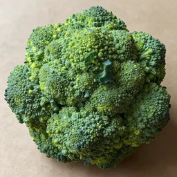 the biggest brocolli ever
