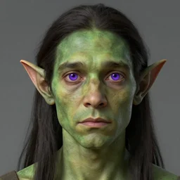 a character with an earthy green skin tone and horizontal elf ears, digital art, incredible detail, perfect facial proportions, perfect lighting, alternate history, dark hair, purple eyes, mundane, ordinary, a species from another world, concept art by ralph mcquarrie