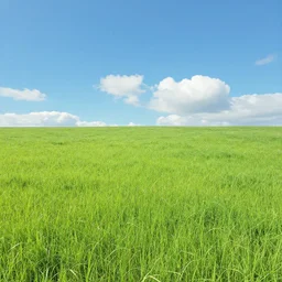 a wide meadow with blue sky and a few clouds above, super wide angle, fantasy matte painting by studio ghibli and hayao miyazaki and kazuo oga, hyperrealism, featured on artstation and cgsociety, c 4 d, ultra - realistic, 4 k hd wallpapear,