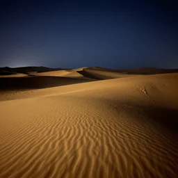 sahara desert at night,
