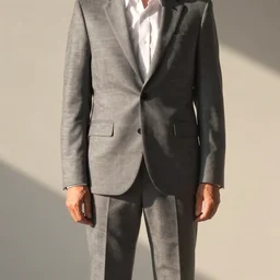 that the suited person will have only two arms and two legs, no artifacts. high resolution, concept art, afternoon sunlight,