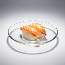 glass sushi plate, commercial catalog photo, isolated on a pure white background, centered, entire object in frame, sharp focus, soft studio lighting