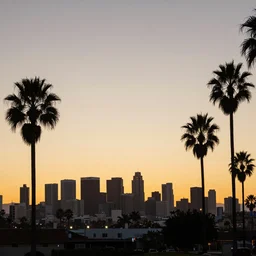 Pasadena California, LA summer sunset, Los Angeles Downtown Skyline Silhouette, California Palm Tree's lining the streets, Downtown US Bank Tower Centered, trending on artstation, 30mm, by Noah Bradley