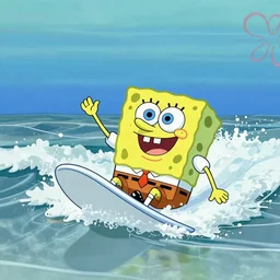 real life spongebob, surfing in the sea