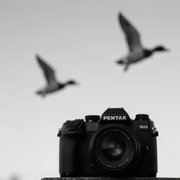 Pentax K-1000, ducks in sky, analogue photo quality, blur, unfocus, monochrome, 35mm