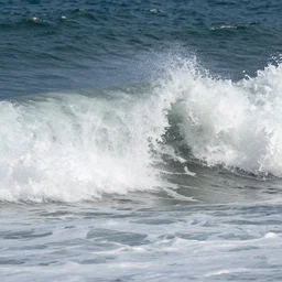 Violent waves of the sea