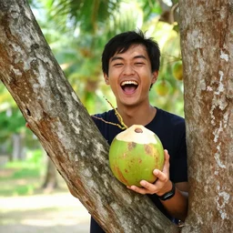 if he cuts the tree, he gets the fruit free,, silly, coconut, laughing,