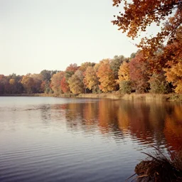 an old photo of an autumn lake taken in 1 9 5 3
