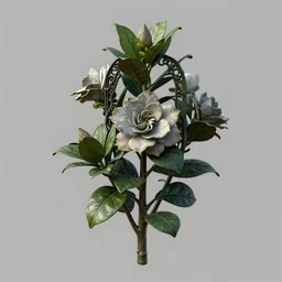 an isolated gardenia plant, full view, centered, 3 d render, art nouveau dark outlines, ultra realistic, masked transparent flat background, popular on sketchfab, pixelsquid, 8 k, volumetric lighting, super focused, no blur, trending on artstation, octane render, ultra detailed, hyperrealistic, by artgerm and greg rutkowski and alphonse mucha