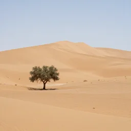 barren desert with a single tree and large sand dunes