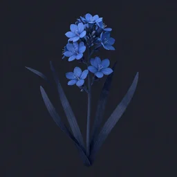 botanical illustration of a blue thin flower and dark long leaves, on a dark background