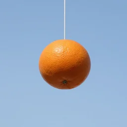 realistic mandarin in sky