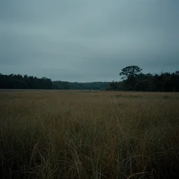 david lynch inspired moody landscape various random styles