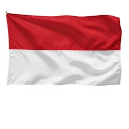 the flag of indonesia is a simple bicolor with two equal horizontal bands red ( top ) and white ( bottom ) with an overall ratio of 2 : 3