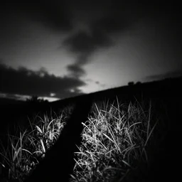 b&w photography, lost footage, weird perspectives, darkness with some light, sharp and blurry, unclear what it is or what it is not