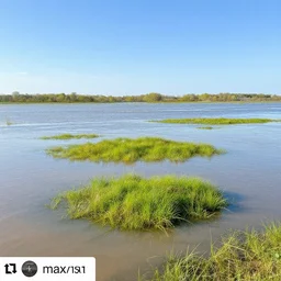 flooded plains landscape. clear sunny day at noon. grass islands up close. flood waters. max rive, 4 k, instagram, landscape, hdr