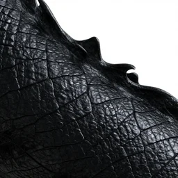 black dragon skin, iridescent, macro shot, minimalistic, 3 d render