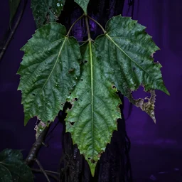 samurai, highly detailed green leaves, nature taking back, decayed, cyberpunk, dark fantasy, photorealism, unreal engine, purple hue, sci-fi, by H.R. Giger