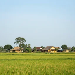 vietnamese countryside