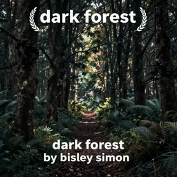 dark forest by bisley simon