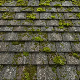 seamless tileable texture of roof shingle with moss, realistic, very detailed, beautiful, intricate details, sharp focus, substance designer, substance render, substance painter, marmoset, unreal engine, octane render