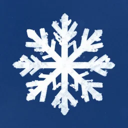 snowflake face in the middle