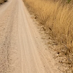 a close up of a dirt road bordered by dry grass, highly textured