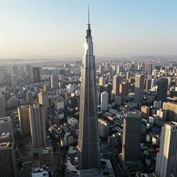 drone images of the tallest person ever, ultrarealistic, 8k