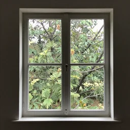 window view