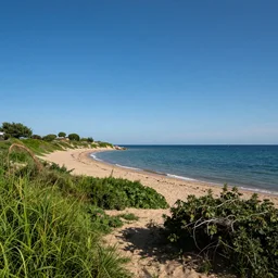 it's a sleepy summer day, with the smell of the shore and water, greenery and heated earth, with the feeling of an open body and coolness only in the wind, it's the endless freedom and the blue of the huge sky that starts immediately from you