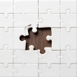 the missing pieces