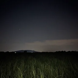 falling sky, night, field, 2003 photo taken from phone