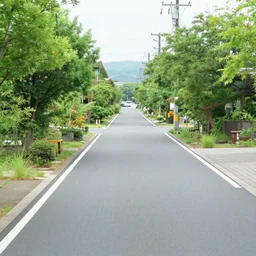 森 山 大 道 系 列 - n 4