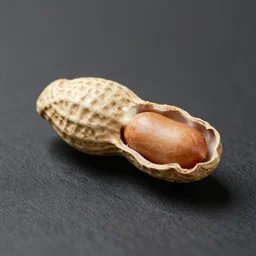 a peanut, photorealistic