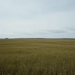 landscape by dubstep, photorealistic