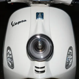 a perfect symmetrical frontal photography of the face of a vespa bellutina, 7 0 mm macro lens, soft flash light