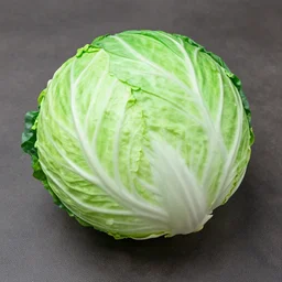 deflated cabbage balloon
