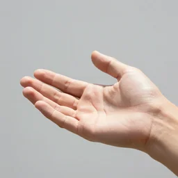 Subject: a normal hand ; environment: sunny ; action: open ; type: photography ; quality: professional studio catalog