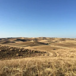 venus landscape