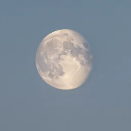 a strawberry moon