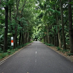 4249327871