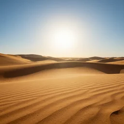 macro shot of sun landscape