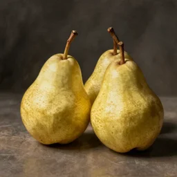 still life pears. art by maria sibylla merian