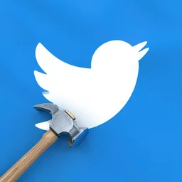 the twitter and the hammer flag, digital