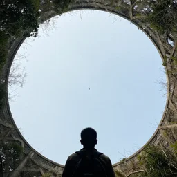 i was observing the birds ( circle in for the kill )