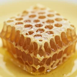 photo of honey comb, macro image