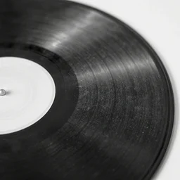 a vinyl close up with dust, b&w