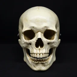 a monster skull shaped like a plague doctor mask